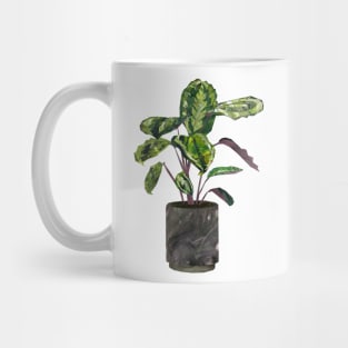 Calathea (prayer plant) Mug